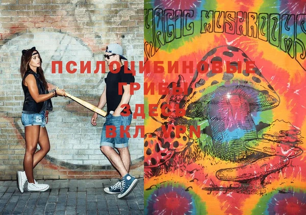 а пвп мука Белокуриха
