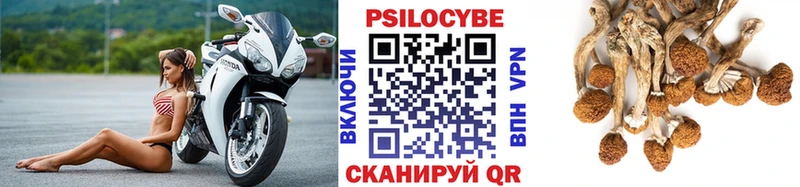 Галлюциногенные грибы мицелий  Туран 